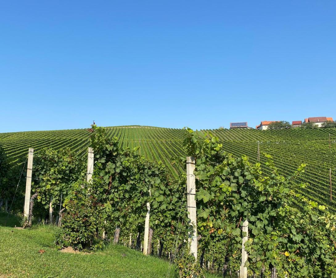 Wein Kultur Apartment Flavia Solva Wagna Екстериор снимка